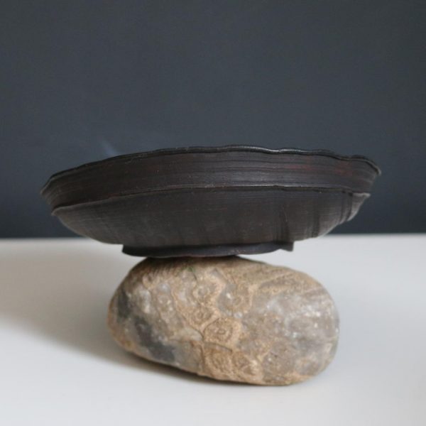 Eucalyptus cracked bowl