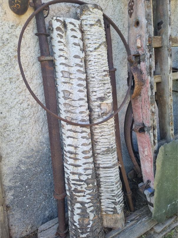 Spain (Pt.2) Pole Lathe Trip – Wood Sourcing